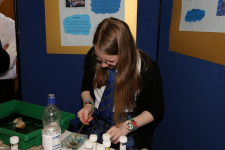 Science Fayre 2014